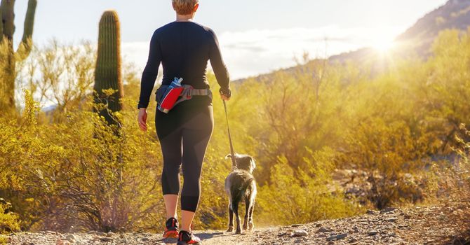 Shockwave Therapy